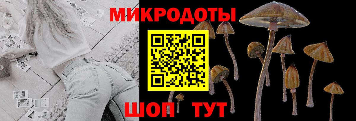 Псилоцибиновые грибы Psilocybe  Вход с VPN  Лангепас 