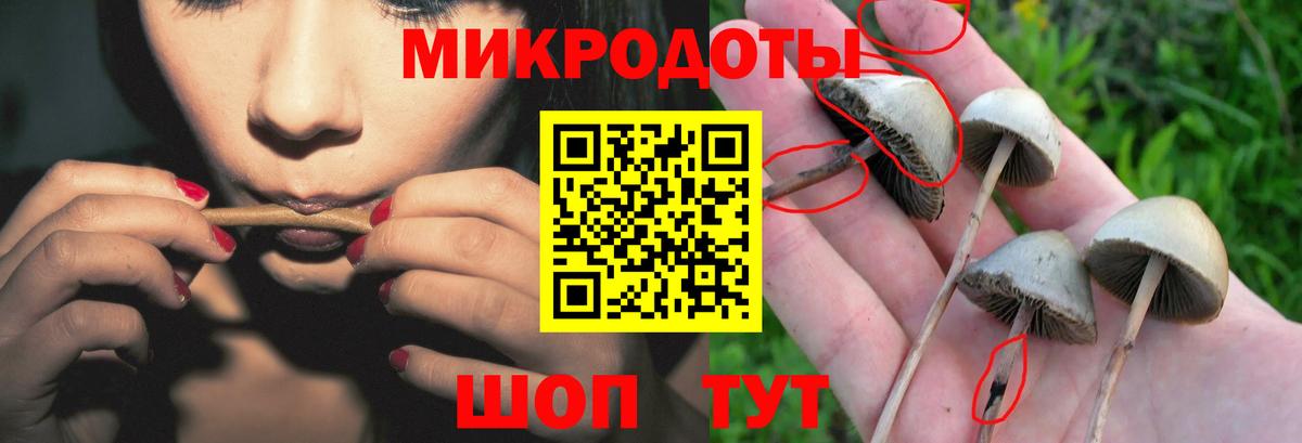 Псилоцибиновые грибы Magic Shrooms Лангепас